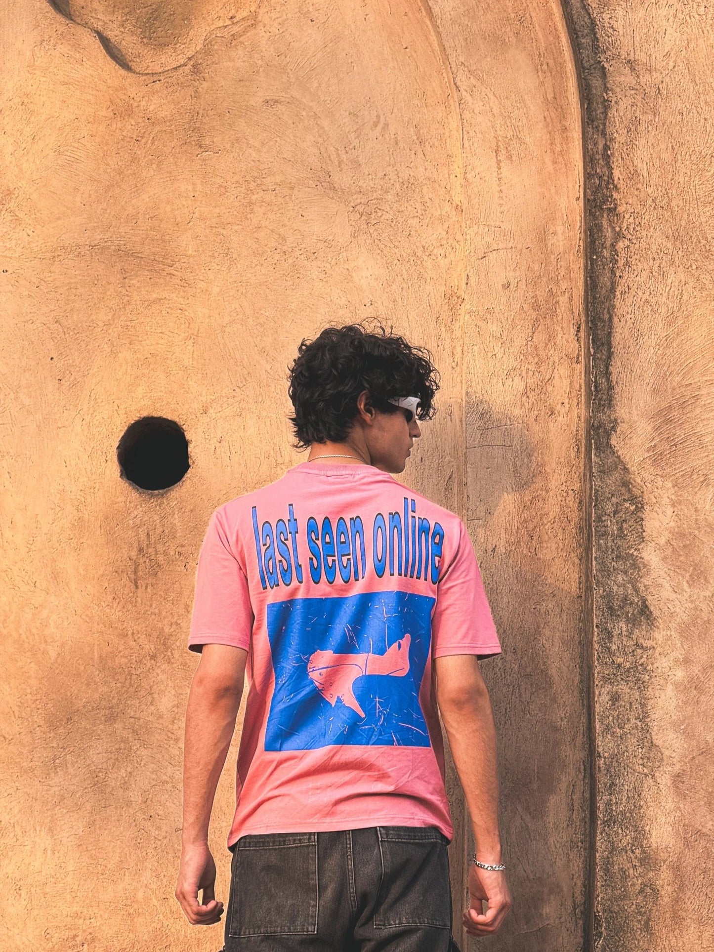 Last Seen Online Tshirt